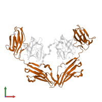 Fibroblast growth factor receptor 2 in PDB entry 1e0o, assembly 1, front view.