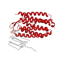 The deposited structure of PDB entry 1e12 contains 1 copy of CATH domain 1.20.1070.10 (Rhopdopsin 7-helix transmembrane proteins) in Halorhodopsin. Showing 1 copy in chain A.