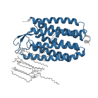 The deposited structure of PDB entry 1e12 contains 1 copy of Pfam domain PF01036 (Bacteriorhodopsin-like protein) in Halorhodopsin. Showing 1 copy in chain A.