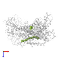 LAURYL DIMETHYLAMINE-N-OXIDE in PDB entry 1e14, assembly 1, top view.