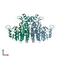 PDB entry 1e19 coloured by chain, front view.