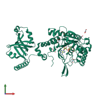 PDB entry 1e1t coloured by chain, front view.