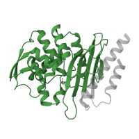 The deposited structure of PDB entry 1e25 contains 1 copy of Pfam domain PF13354 (Beta-lactamase enzyme family) in Extended-spectrum beta-lactamase PER-1. Showing 1 copy in chain A.