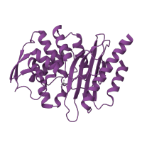 The deposited structure of PDB entry 1e25 contains 1 copy of SCOP domain 56602 (beta-Lactamase/D-ala carboxypeptidase) in Extended-spectrum beta-lactamase PER-1. Showing 1 copy in chain A.
