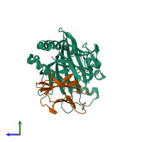 PDB entry 1e28 coloured by chain, side view.