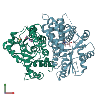 PDB entry 1e2l coloured by chain, front view.