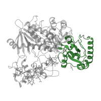 The deposited structure of PDB entry 1e39 contains 1 copy of CATH domain 3.90.700.10 (Flavocytochrome C3; Chain A, domain 1) in Fumarate reductase flavoprotein subunit. Showing 1 copy in chain A.