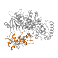 The deposited structure of PDB entry 1e39 contains 1 copy of Pfam domain PF14537 (Cytochrome c3) in Fumarate reductase flavoprotein subunit. Showing 1 copy in chain A.