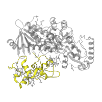 The deposited structure of PDB entry 1e39 contains 1 copy of SCOP domain 48711 (Di-heme elbow motif) in Fumarate reductase flavoprotein subunit. Showing 1 copy in chain A.