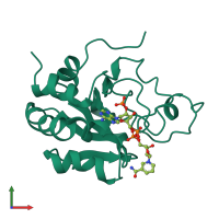 PDB entry 1e3t coloured by chain, front view.