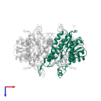 3-hydroxyacyl-CoA dehydrogenase type-2 in PDB entry 1e3w, assembly 1, top view.