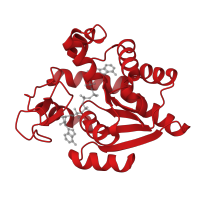 The deposited structure of PDB entry 1e4v contains 2 copies of CATH domain 3.40.50.300 (Rossmann fold) in Adenylate kinase. Showing 1 copy in chain A.