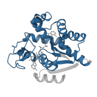 The deposited structure of PDB entry 1e4v contains 2 copies of Pfam domain PF00406 (Adenylate kinase) in Adenylate kinase. Showing 1 copy in chain A.