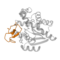The deposited structure of PDB entry 1e4v contains 2 copies of SCOP domain 57775 (Microbial and mitochondrial ADK, insert 