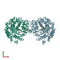 PDB entry 1e56 coloured by chain, front view.