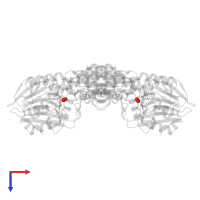 OXYGEN MOLECULE in PDB entry 1e5d, assembly 1, top view.