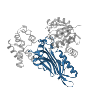 The deposited structure of PDB entry 1e5q contains 8 copies of CATH domain 3.30.360.10 (Dihydrodipicolinate Reductase; domain 2) in Saccharopine dehydrogenase [NADP(+), L-glutamate-forming]. Showing 1 copy in chain A.