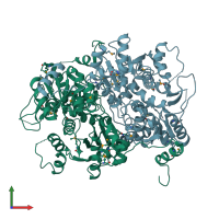 PDB entry 1e5x coloured by chain, front view.