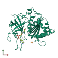 PDB entry 1e62 coloured by chain, front view.