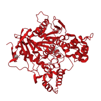 The deposited structure of PDB entry 1e66 contains 1 copy of CATH domain 3.40.50.1820 (Rossmann fold) in Acetylcholinesterase. Showing 1 copy in chain A.