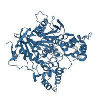The deposited structure of PDB entry 1e66 contains 1 copy of Pfam domain PF00135 (Carboxylesterase family) in Acetylcholinesterase. Showing 1 copy in chain A.