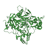 The deposited structure of PDB entry 1e66 contains 1 copy of SCOP domain 53475 (Acetylcholinesterase-like) in Acetylcholinesterase. Showing 1 copy in chain A.