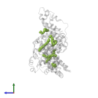 PALMITIC ACID in PDB entry 1e7h, assembly 1, side view.