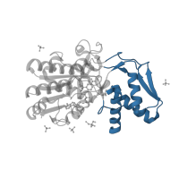 The deposited structure of PDB entry 1e7q contains 1 copy of CATH domain 3.90.25.10 (UDP-galactose 4-epimerase; domain 1) in GDP-L-fucose synthase. Showing 1 copy in chain A.
