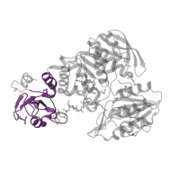The deposited structure of PDB entry 1e8c contains 2 copies of Pfam domain PF01225 (Mur ligase family, catalytic domain) in UDP-N-acetylmuramoyl-L-alanyl-D-glutamate--2,6-diaminopimelate ligase. Showing 1 copy in chain B.