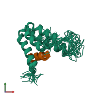 PDB entry 1e91 coloured by chain, ensemble of 20 models, front view.
