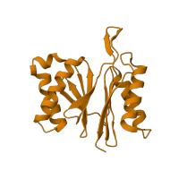 The deposited structure of PDB entry 1e94 contains 4 copies of SCOP domain 56251 (Proteasome subunits) in ATP-dependent protease subunit HslV. Showing 1 copy in chain A.