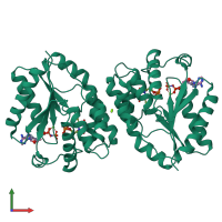 Homo dimeric assembly 1 of PDB entry 1e9c coloured by chemically distinct molecules, front view.