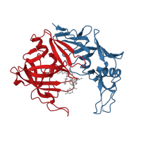 The deposited structure of PDB entry 1eag contains 2 copies of CATH domain 2.40.70.10 (Cathepsin D, subunit A; domain 1) in Candidapepsin-2. Showing 2 copies in chain A.