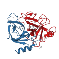 The deposited structure of PDB entry 1eas contains 2 copies of CATH domain 2.40.10.10 (Thrombin, subunit H) in Chymotrypsin-like elastase family member 1. Showing 2 copies in chain A.