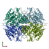 PDB entry 1ec9 coloured by chain, front view.