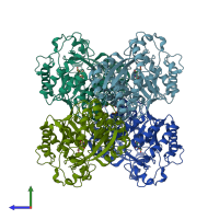 PDB entry 1ec9 coloured by chain, side view.