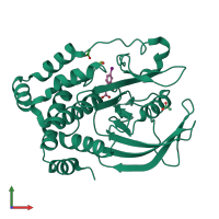 PDB entry 1ecv coloured by chain, front view.