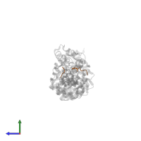 Myc proto-oncogene protein in PDB entry 1ee4, assembly 1, side view.