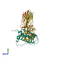 PDB entry 1eer coloured by chain, side view.