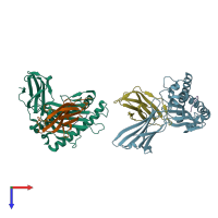 PDB entry 1eey coloured by chain, top view.