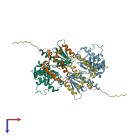 PDB entry 1ef1 coloured by chain, top view.