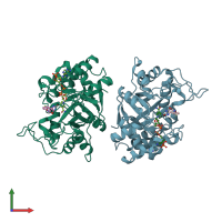 PDB entry 1ef3 coloured by chain, front view.