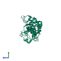 Cathepsin Z in PDB entry 1ef7, assembly 1, side view.