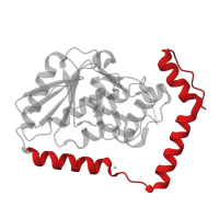 The deposited structure of PDB entry 1ef8 contains 3 copies of CATH domain 1.10.12.10 (Lyase 2-enoyl-coa Hydratase; Chain  A, domain 2) in Methylmalonyl-CoA decarboxylase. Showing 1 copy in chain A.