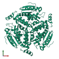 Homo trimeric assembly 1 of PDB entry 1ef8 coloured by chemically distinct molecules, front view.