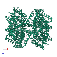 Homo hexameric assembly 2 of PDB entry 1ef8 coloured by chemically distinct molecules, top view.