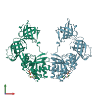 PDB entry 1efc coloured by chain, front view.
