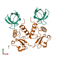 Hetero tetrameric assembly 1 of PDB entry 1efn coloured by chemically distinct molecules, front view.