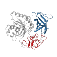 The deposited structure of PDB entry 1eft contains 2 copies of CATH domain 2.40.30.10 (Elongation Factor Tu (Ef-tu); domain 3) in Elongation factor Tu. Showing 2 copies in chain A.