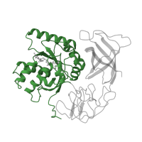 The deposited structure of PDB entry 1eft contains 1 copy of CATH domain 3.40.50.300 (Rossmann fold) in Elongation factor Tu. Showing 1 copy in chain A.